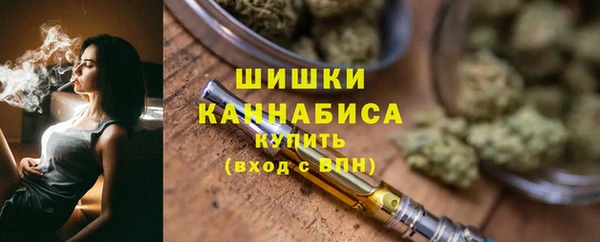 индика Балабаново