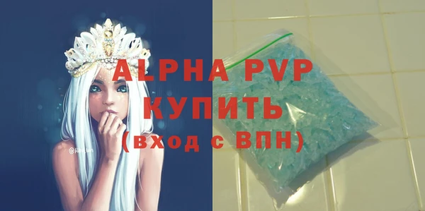 индика Балабаново