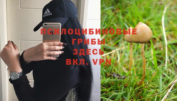 гидропоника Баксан