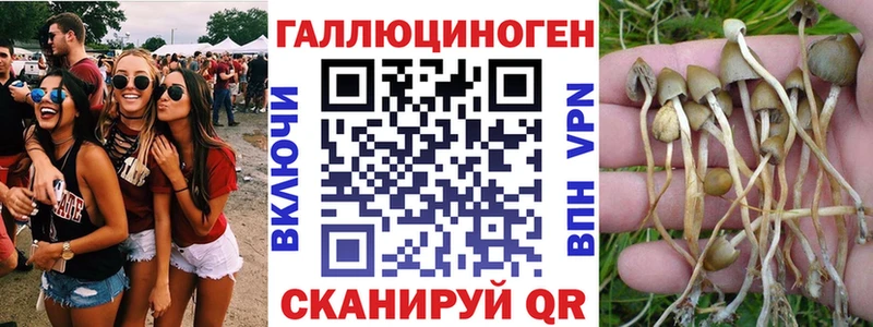blacksprut ссылка  Унеча  Псилоцибиновые грибы MAGIC MUSHROOMS 